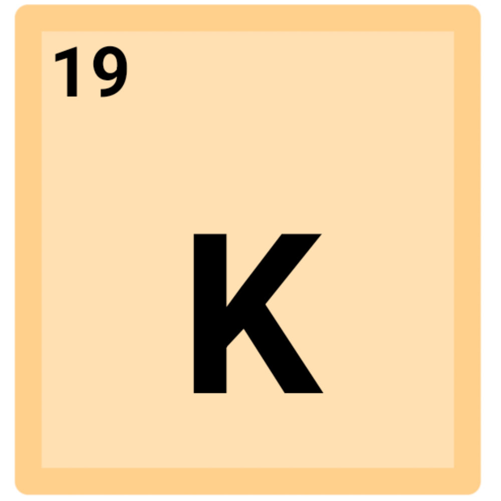 a light yellow square with 'K' in the middle and a '19' in the top left corner.